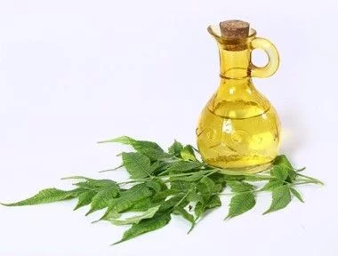 Ce este uleiul de neem?