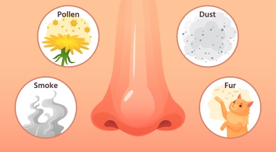 Cauzele si simptomele nasului infundat