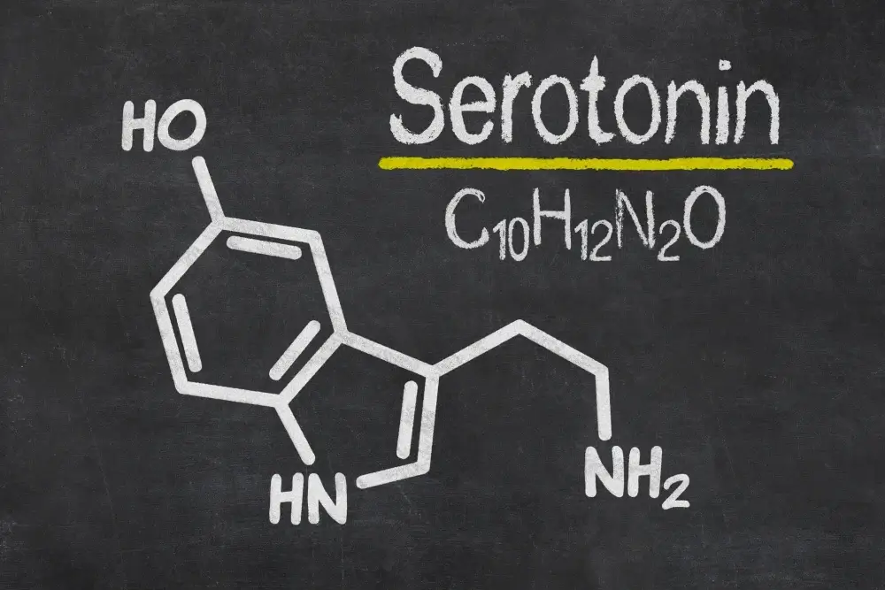 Alimente bogate in serotonina